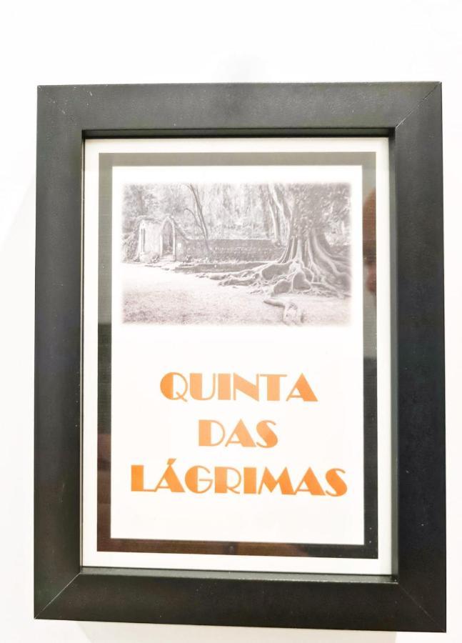 Coimbra City Charm Εξωτερικό φωτογραφία
